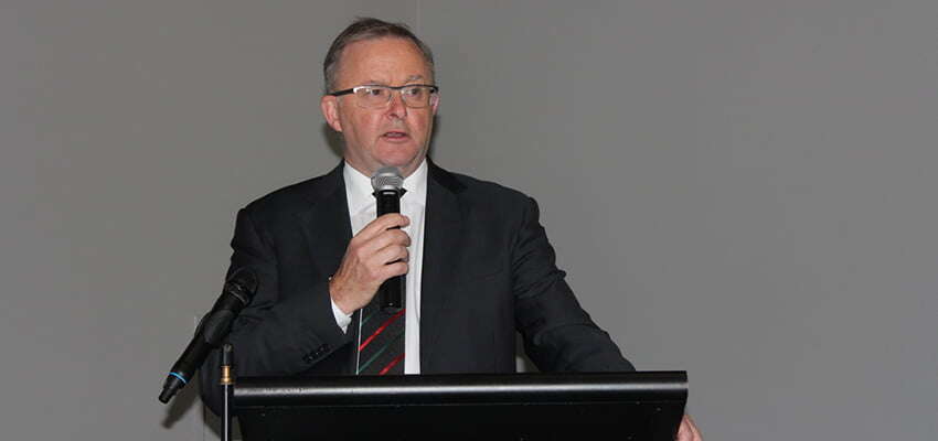 Albo confirmed as Labor leader