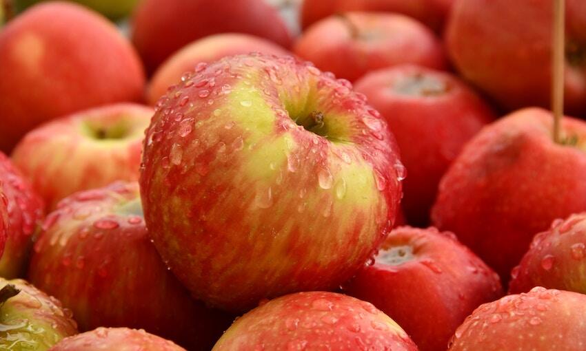 Trade grant aims to improve Aussie apple exports