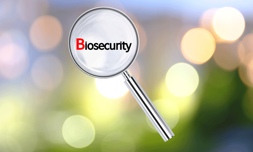 Excellence recognised at the Australian Biosecurity Awards