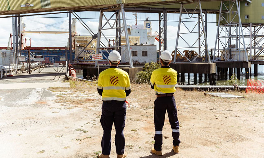 Bundaberg conveyor opens for business
