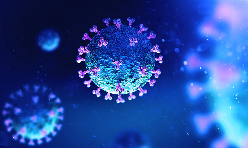 Trade recovery at risk without equitable vaccine roll-out: WTO