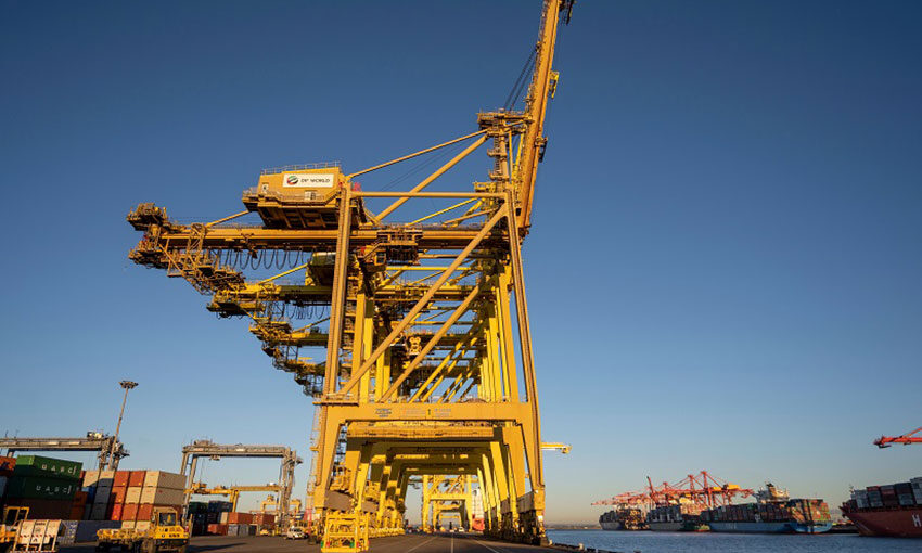 DP World Botany operations resume after COVID case