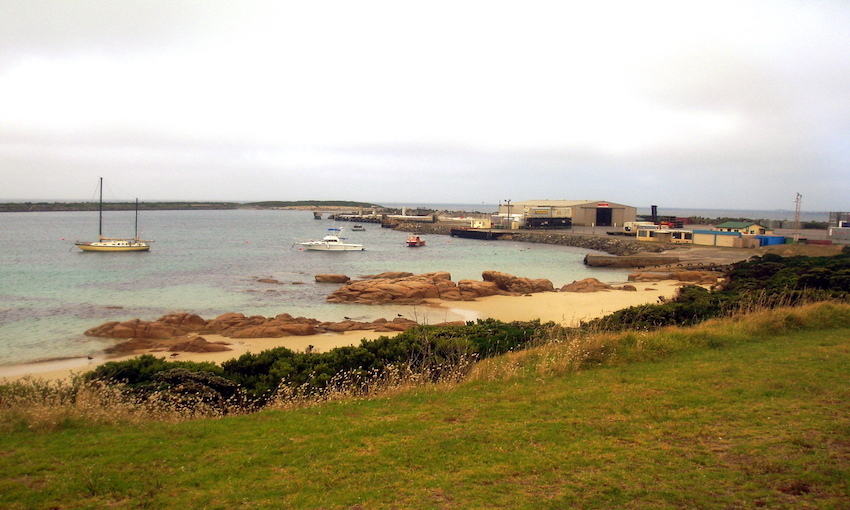 Study into Grassy future