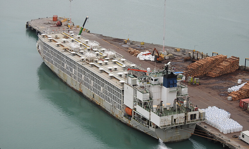 Cattle ship capsize confirmed; only one known survivor