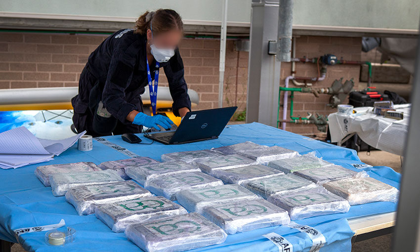 Drug seizure from MSC Joanna