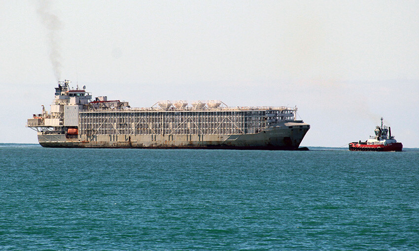 Cattle ship missing in typhoon off Japan