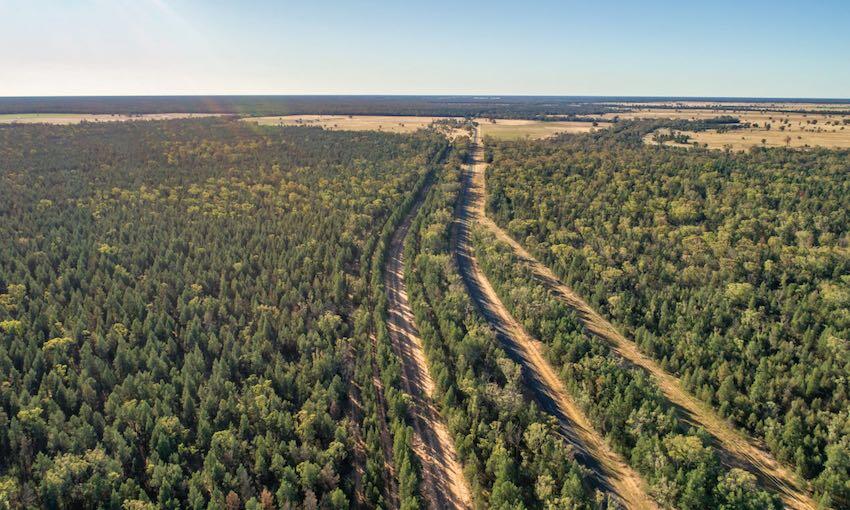 NSW government approves Inland Rail projects