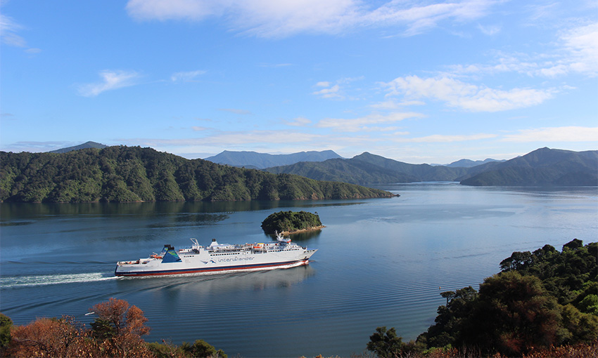 NZ makes key ferry replacement appointments