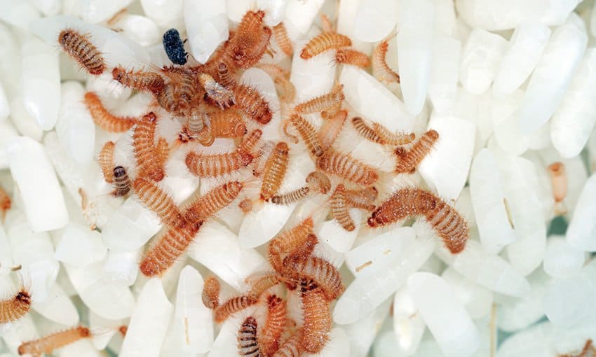 OPINION: Services decline while fees increase