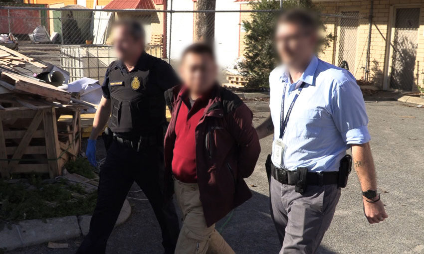 Dog sniffs out illegal cigarettes (with video)