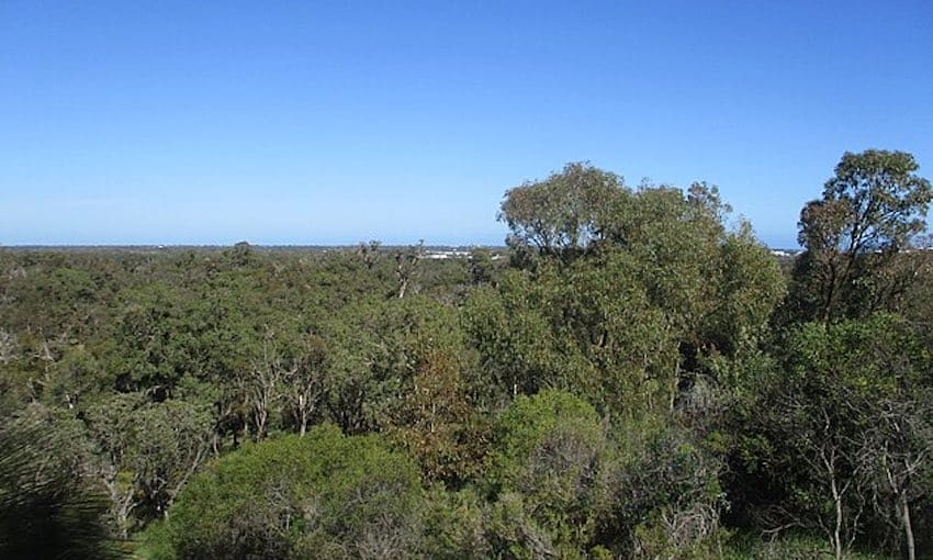 WA green hydrogen hub one step closer