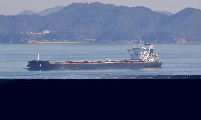 AMSA bans bulker for 12 months