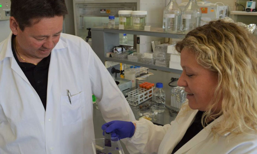 Conductive coating research underway