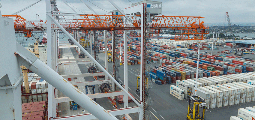 Port of Tauranga reports “stable profitability”