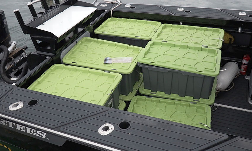 Green-lidded containers carrying drugs