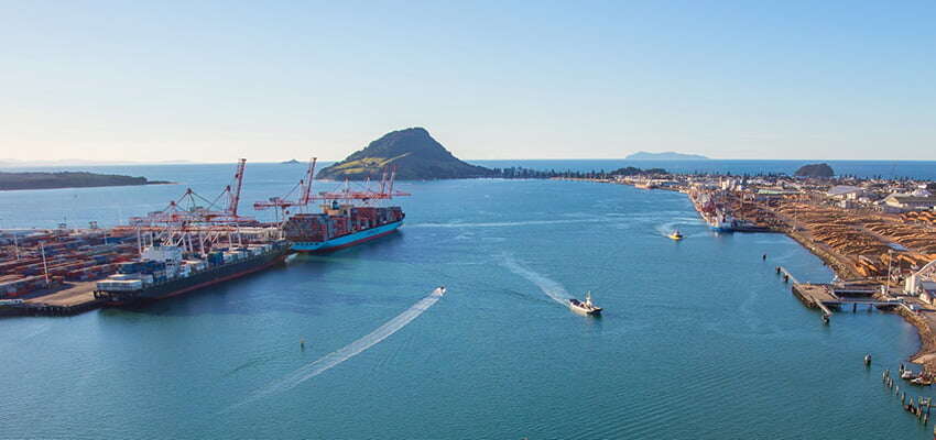 Tauranga bullish from half year results