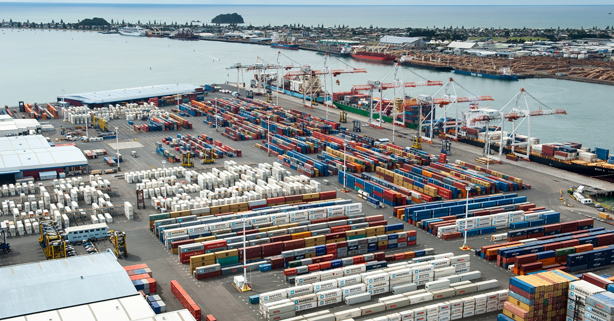 Port of Tauranga results show resilience