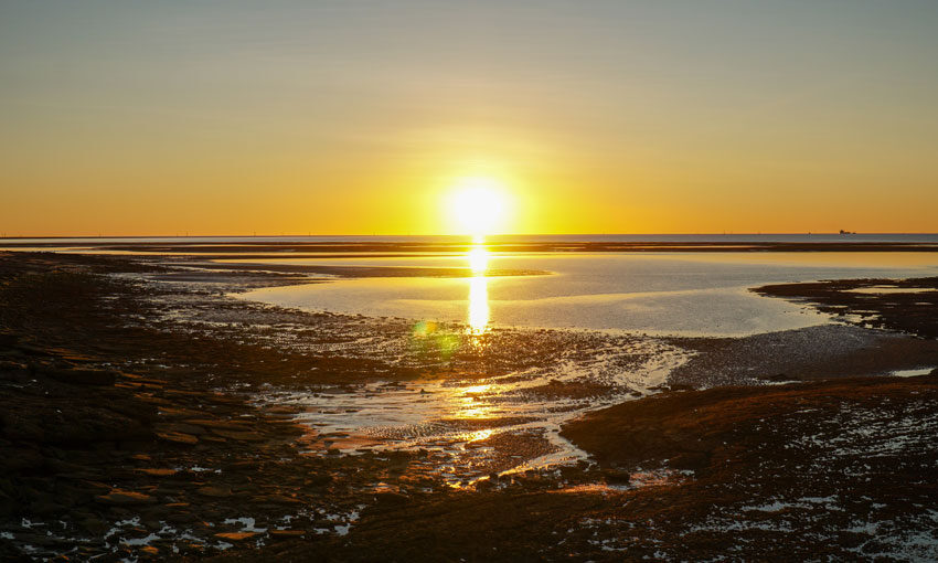 Large throughput and LNG licences highlights for PPA