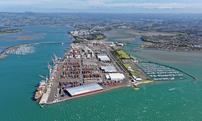 Key appointment for Port of Tauranga