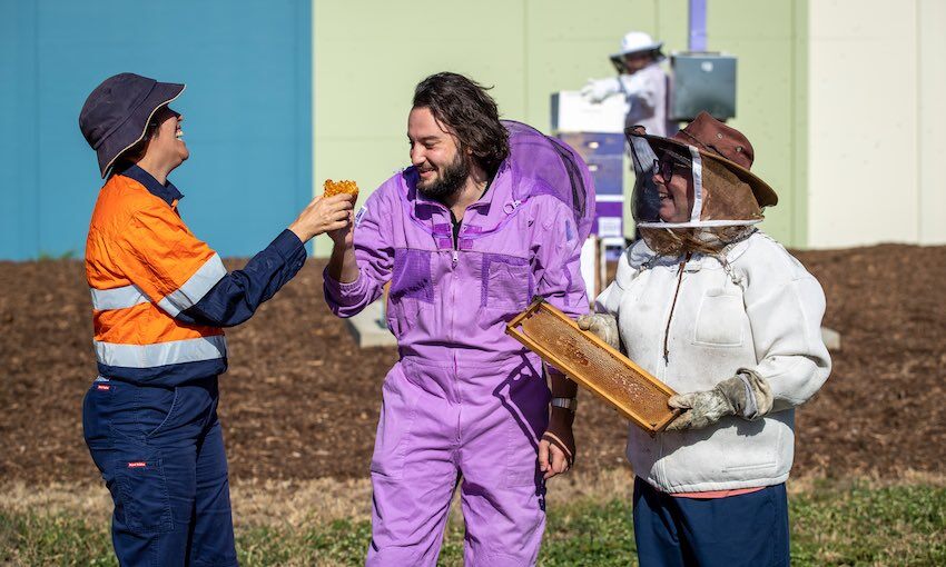 Biosecurity AI rolled out at Port of Townsville