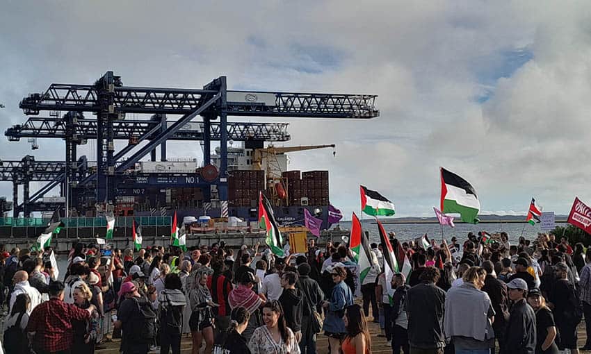 Protesters target Zim again, disrupt operations at Botany