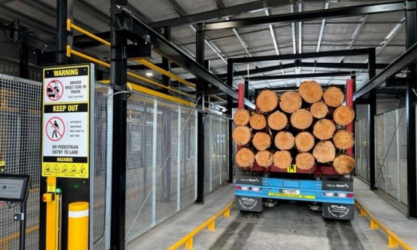 Port robot scales logs