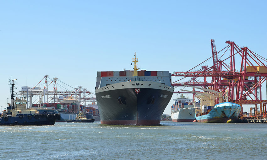 Planning underway for container terminal remediation