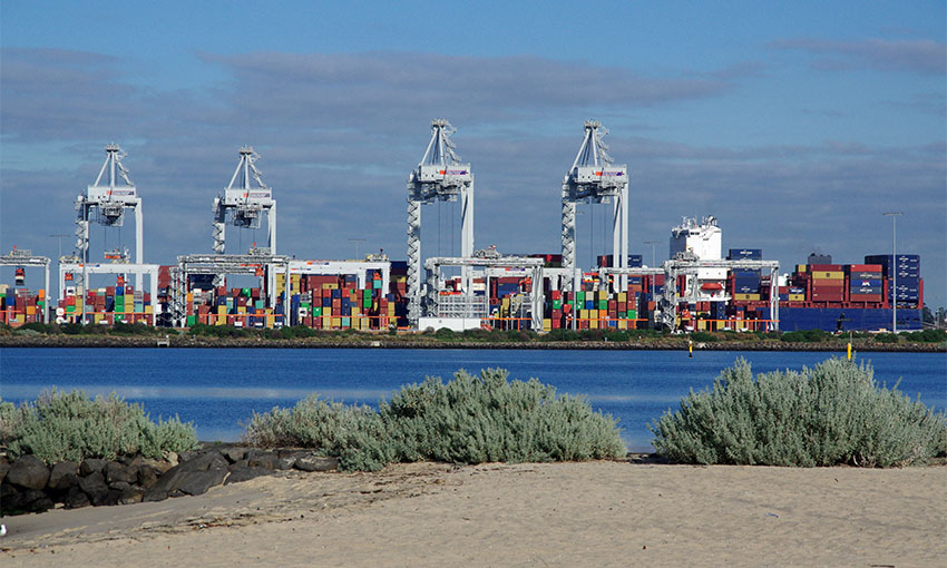 ANL/CMA CGM cut NEMO surcharge