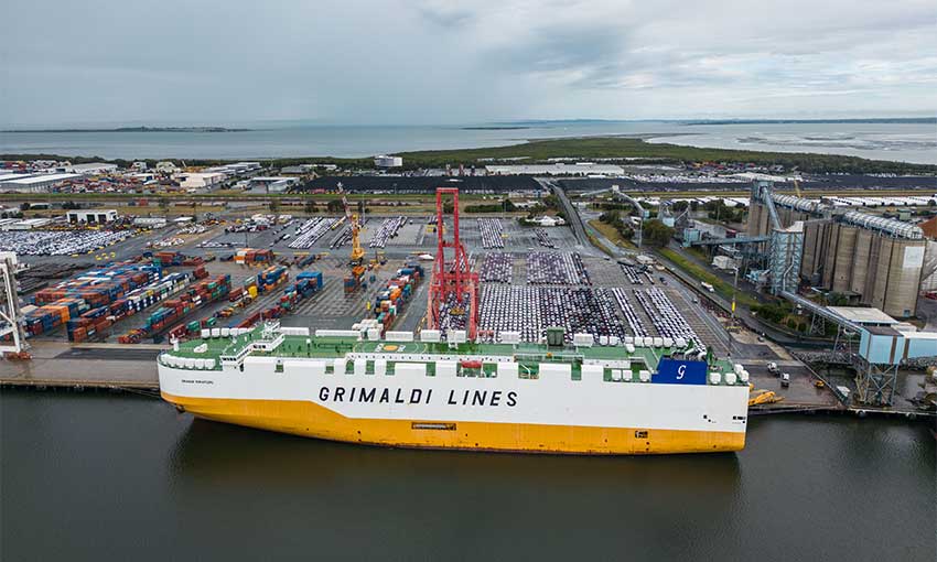 Nautical Shipping loads up Grimaldi