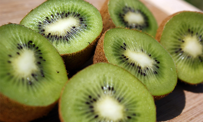 Mice not nice for Zespri