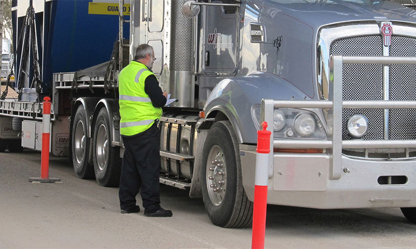 WA biosecurity inspectors out in full force over festive period