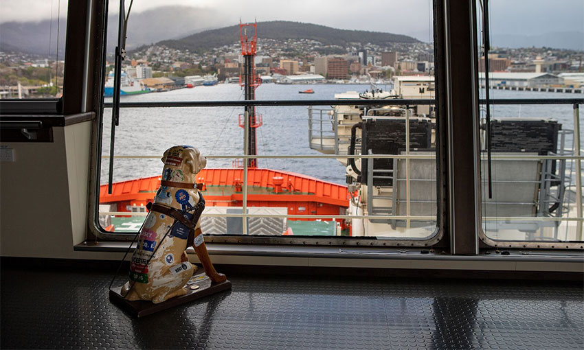 Station mascot returning to Antarctica on Nuyina voyage