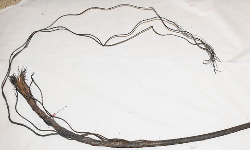 Corroded wire caused shipboard crane failure: NTSB