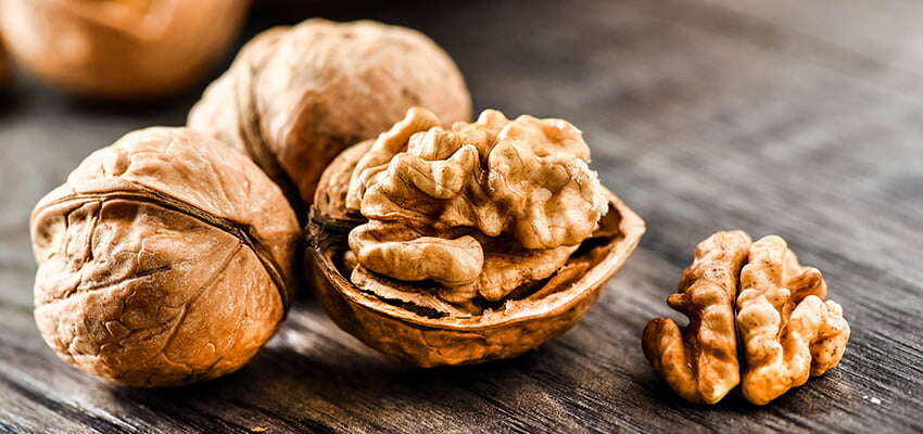 Nut trade to India excites minister