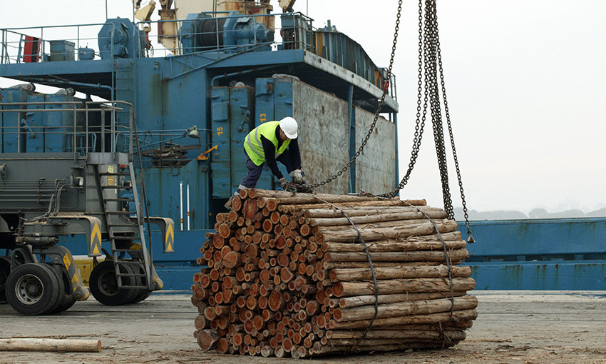 Ag Department seeks consultation on draft rules for wood and woodchip