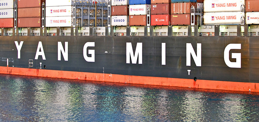 YM Eternity released from arrest