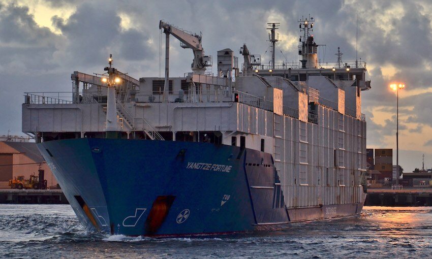 Bid to purchase abandoned livestock carrier falls through