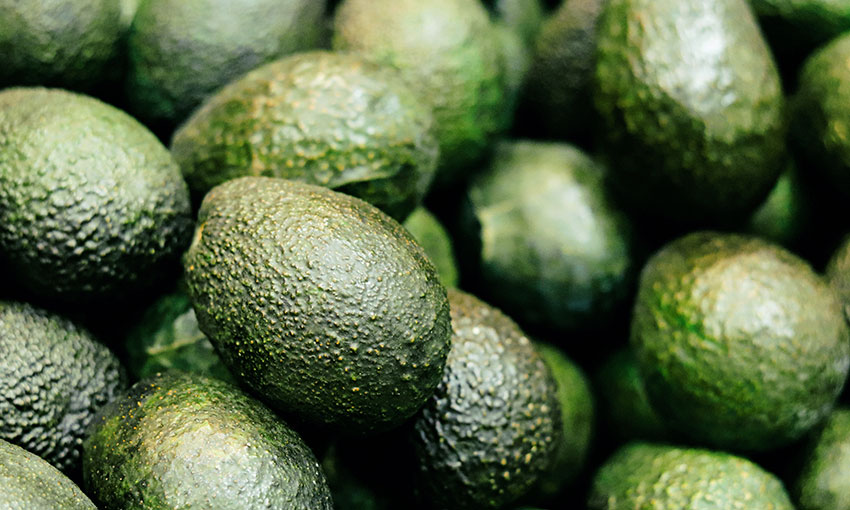 Aussie avo exporters can access India