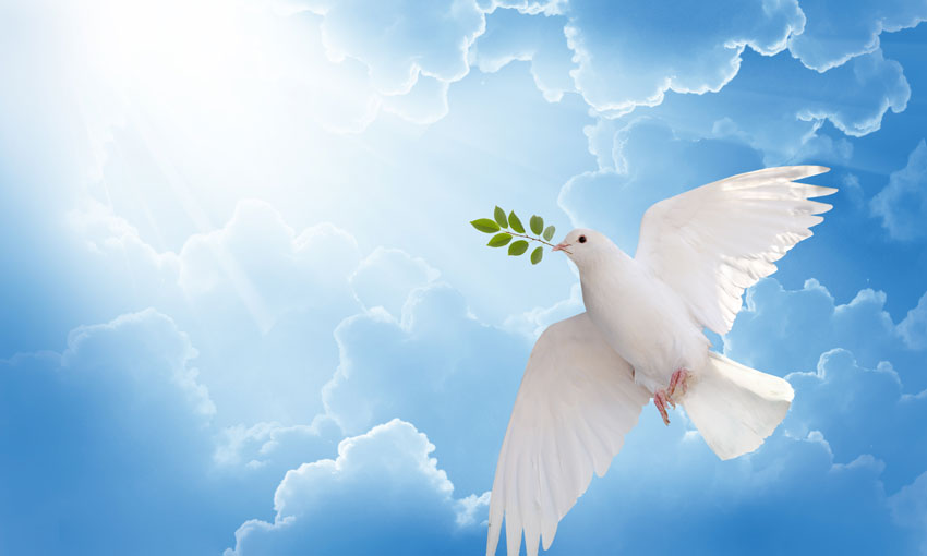 MUA gives IR assurances