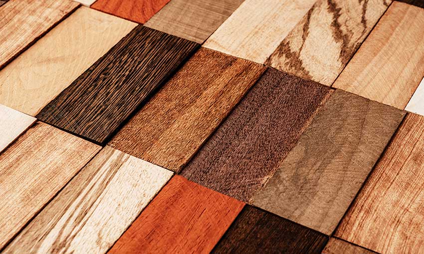 Importers fined for illegally harvested timber