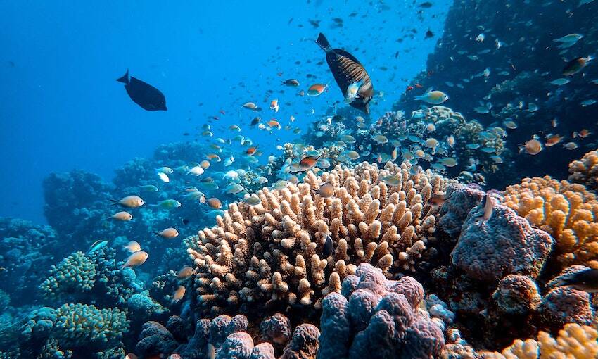 UNCTAD promotes blue deal at 2022 UN Ocean Conference