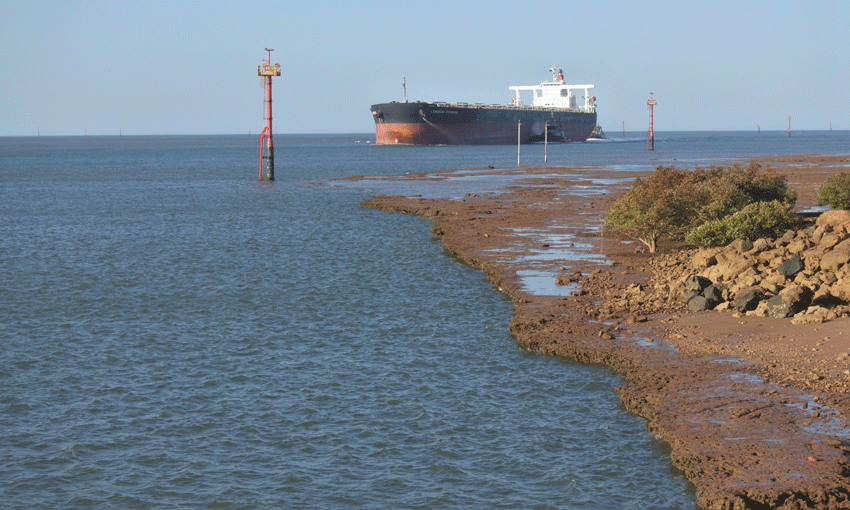 The week in bulk: Capesze, Panamax markets on the rise