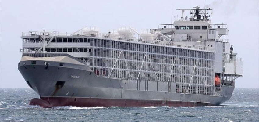 AMSA bans troubled livestock carrier