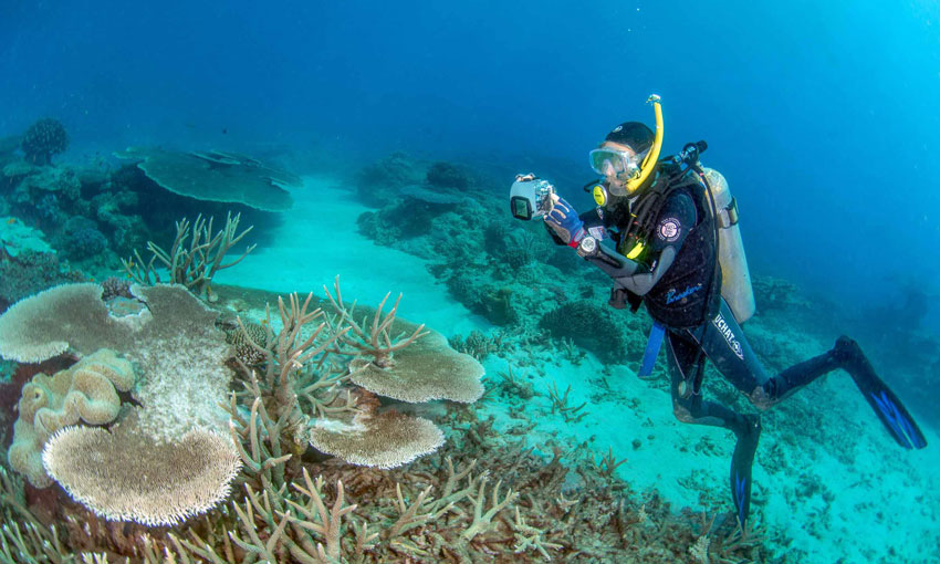 JCU and NQBP announce new era for marine partnership