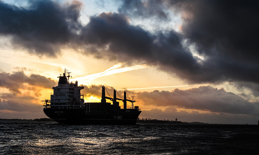 The week in bulk: A slight upturn after this week's plunge