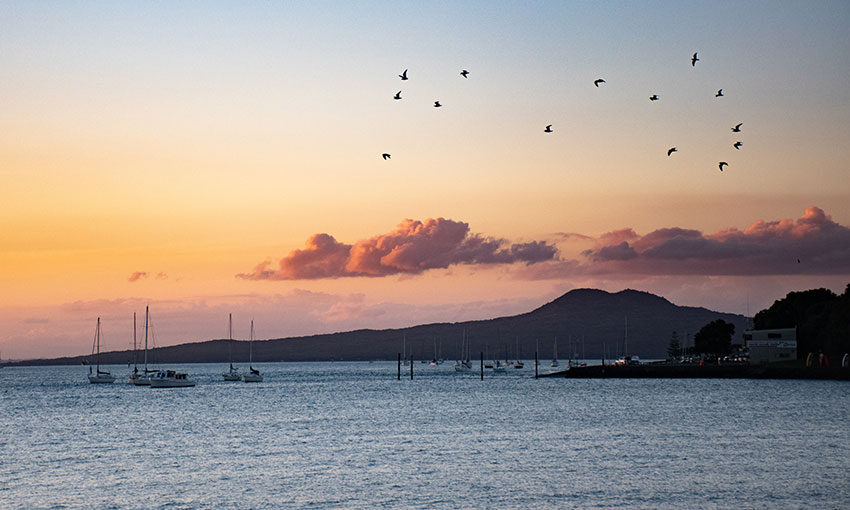 Port and local conservation group come to agreement on dredging project