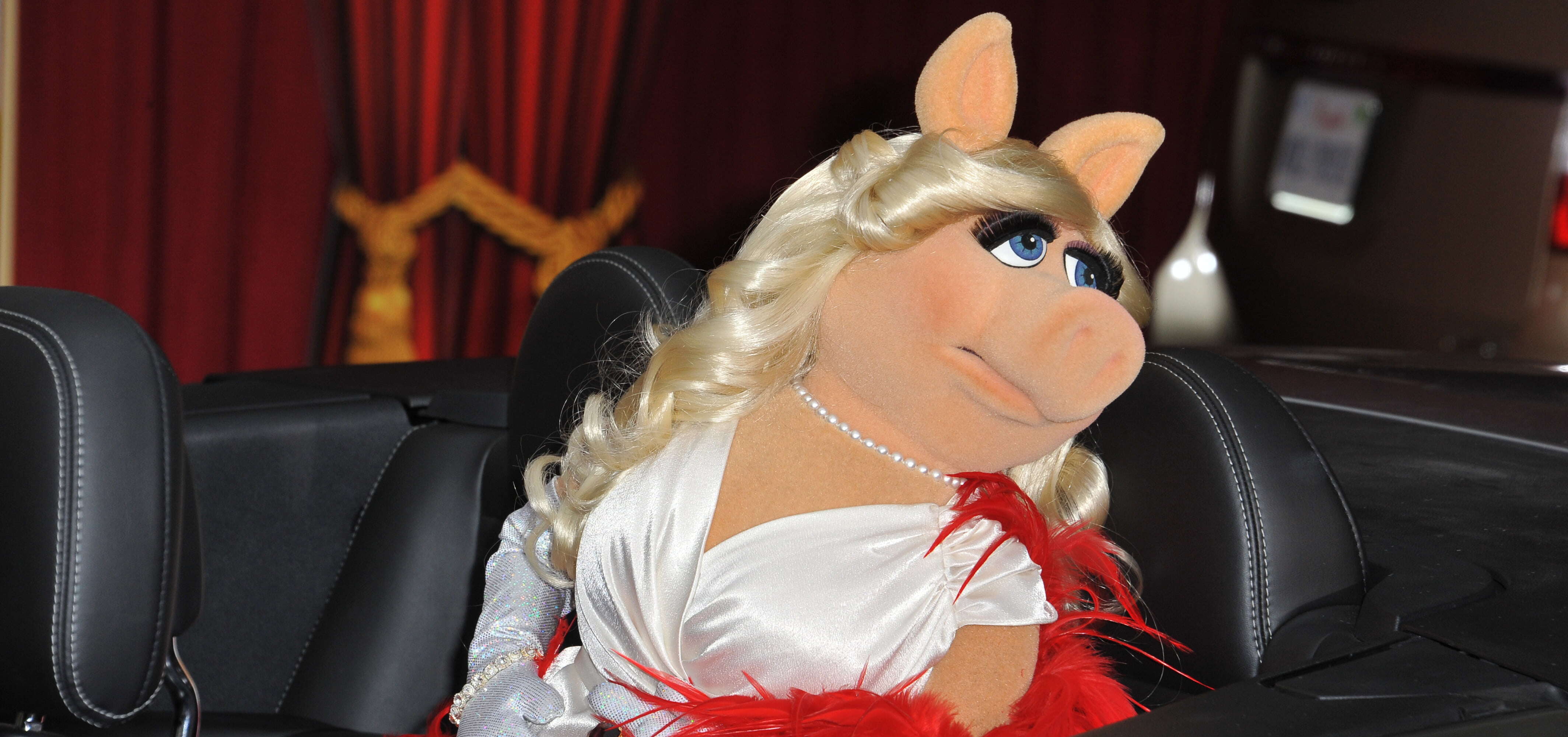 Pork offence brings visa cancellation