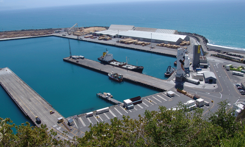 Key appointment made at Napier Port