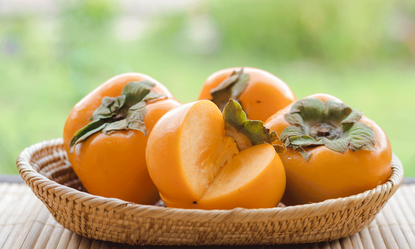 Fruit exports get a boost via chemical-free treatments