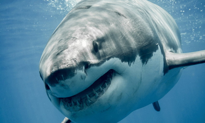 What lies beneath…